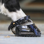 Protetor de Casco para Cavalo