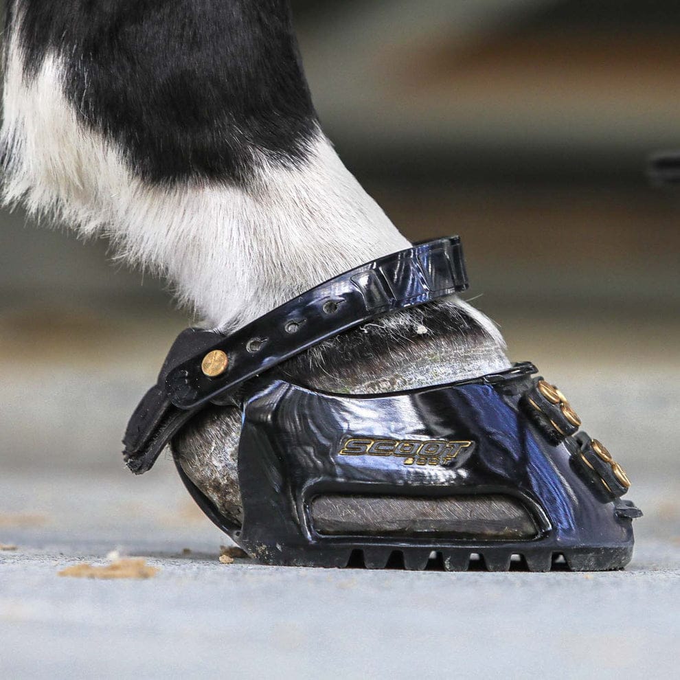 Protetor de Casco para Cavalo