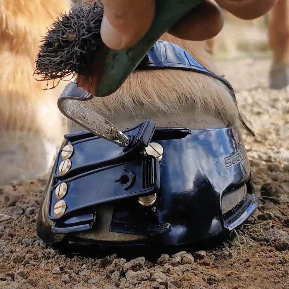 Protetor de Casco para Cavalo