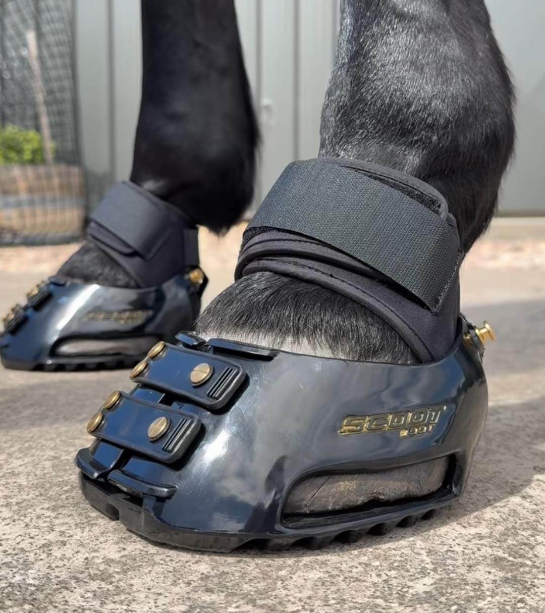 Protetor de Casco para Cavalo